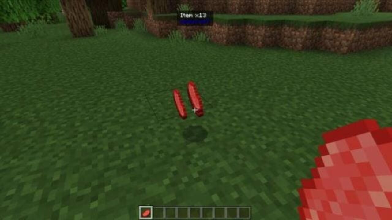 Food from Displaying Items Mod for Minecraft PE