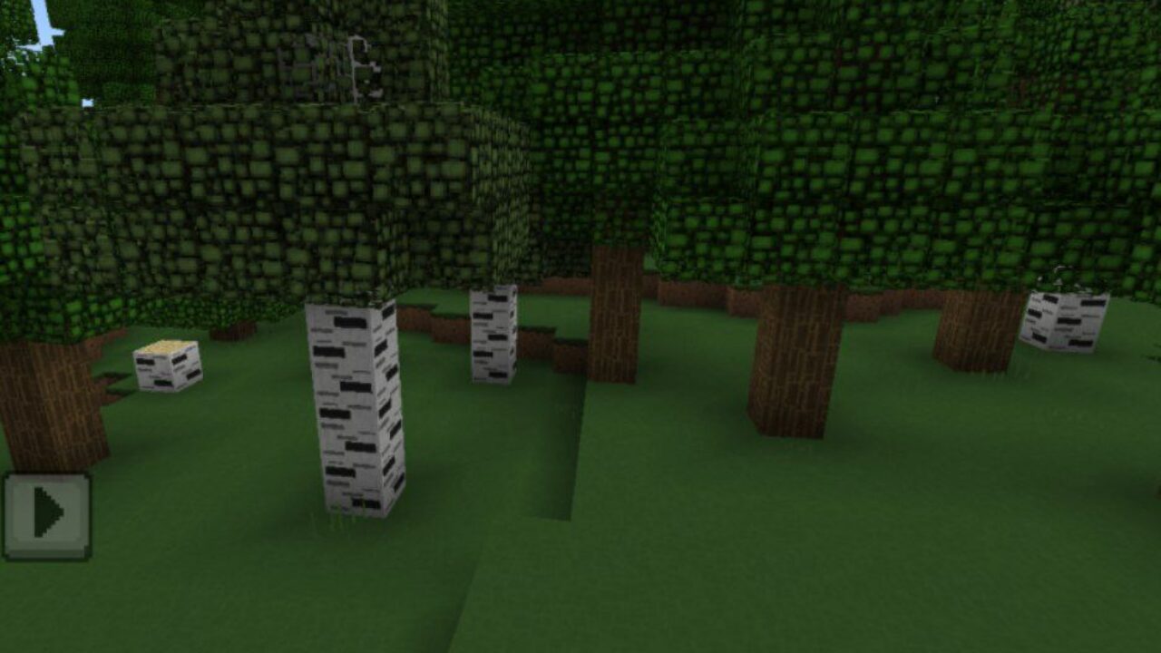 Forest from Mosaic RTX Texrure Pack for Minecraft PE