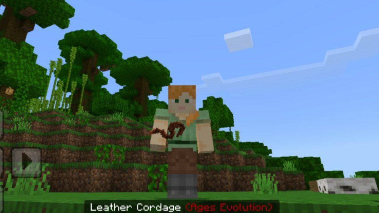 Leather from Ages Evolution Mod for Minecraft PE