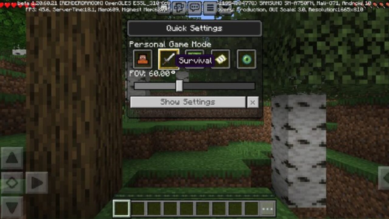 Modes from Settings Overlay Texture Pack for Minecraft PE