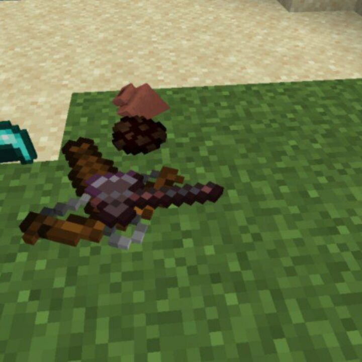 Objects on the Ground Mod for Minecraft PE