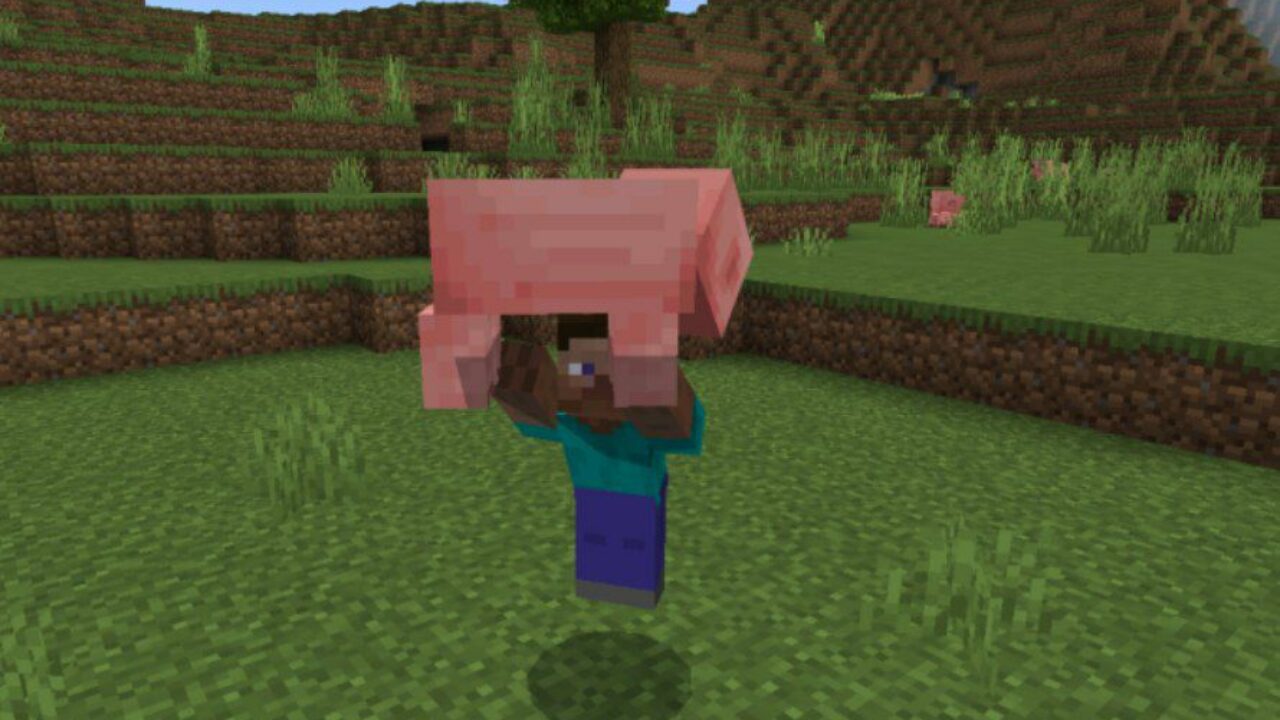 Pig from Moving Items Mod for Minecraft PE