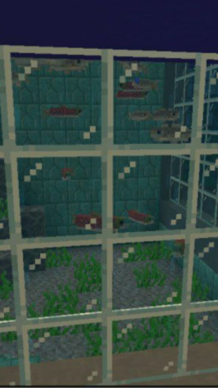 Salmon from SeaLand Aquarium Map for Minecraft PE