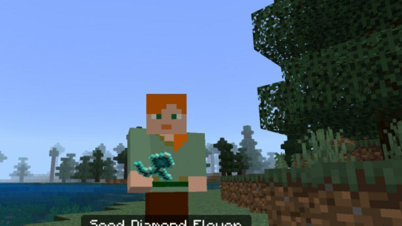 Seed from Diamond Mod for Minecraft PE