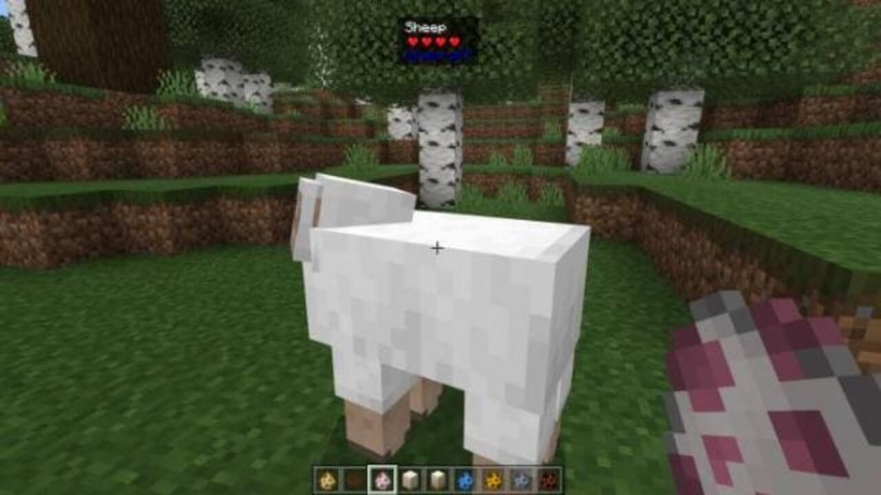 Sheep from Displaying Items Mod for Minecraft PE