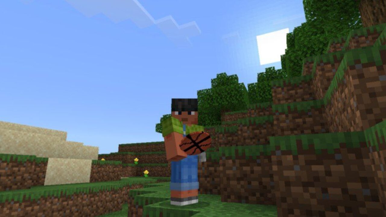 Basketball from Olympic Games Mod for Minecraft PE