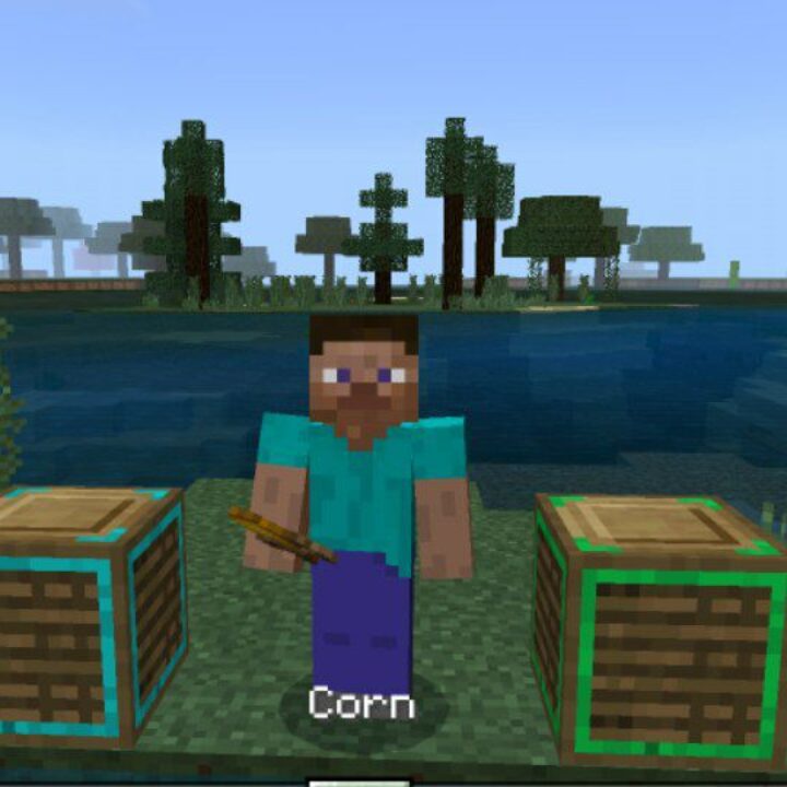 Garden Mod for Minecraft PE