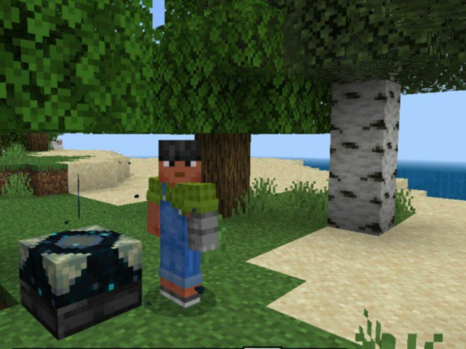 Hogs Enchants Mod for Minecraft PE