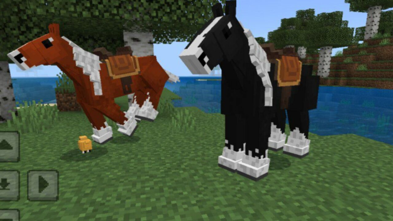 Horse Sport Mod for Minecraft PE