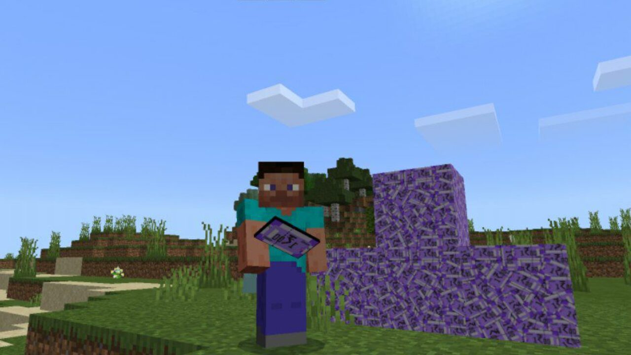 Indian Money Mod for Minecraft PE