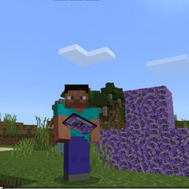 Indian Money Mod for Minecraft PE