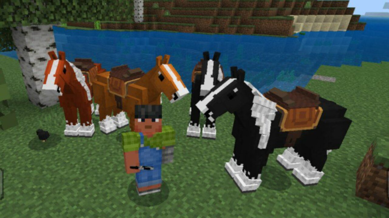 More Variants from Horse Sport Mod for Minecraft PE