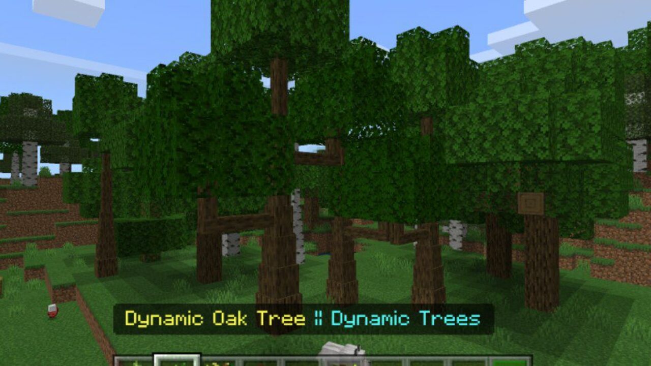 Oak from Dynamic Trees Mod for Minecraft PE