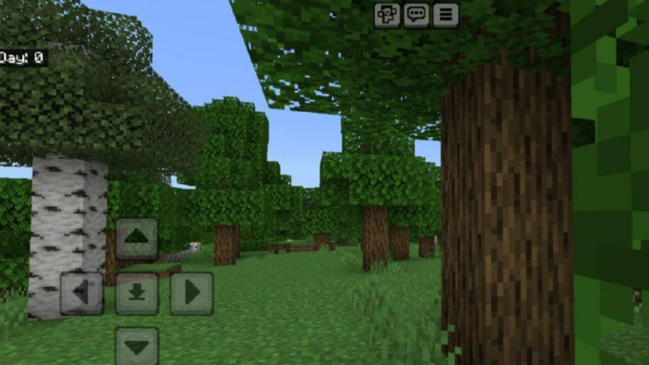 Options from Day Counter Mod for Minecraft PE