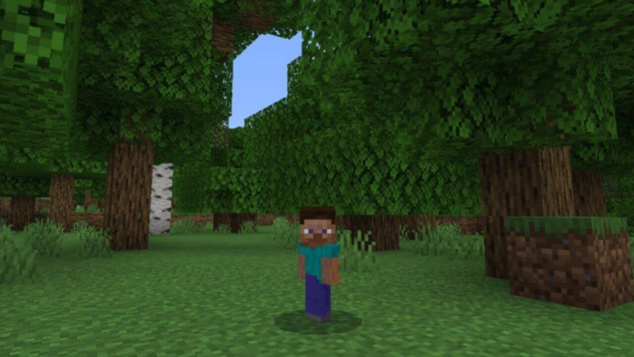 Player from Baby Mobs Texture Pack for Minecraft PE