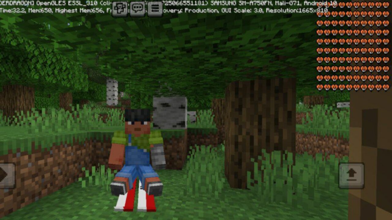 Ski Mod for Minecraft PE