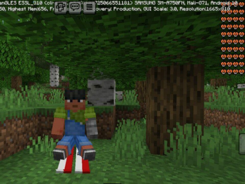 Ski Mod for Minecraft PE