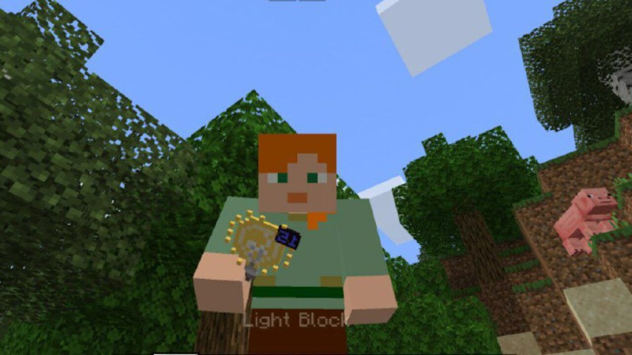 WorldEdit Mod for Minecraft PE