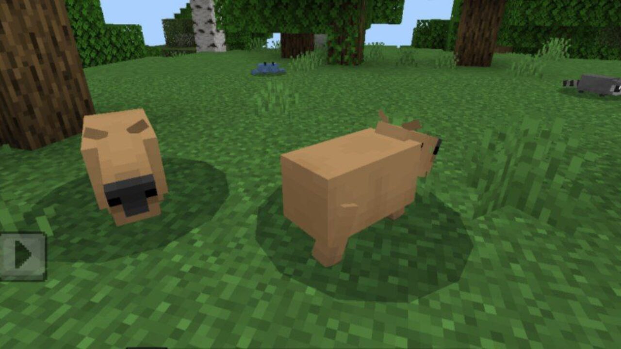 Capybara from Tacos Critters Mod for Minecraft PE