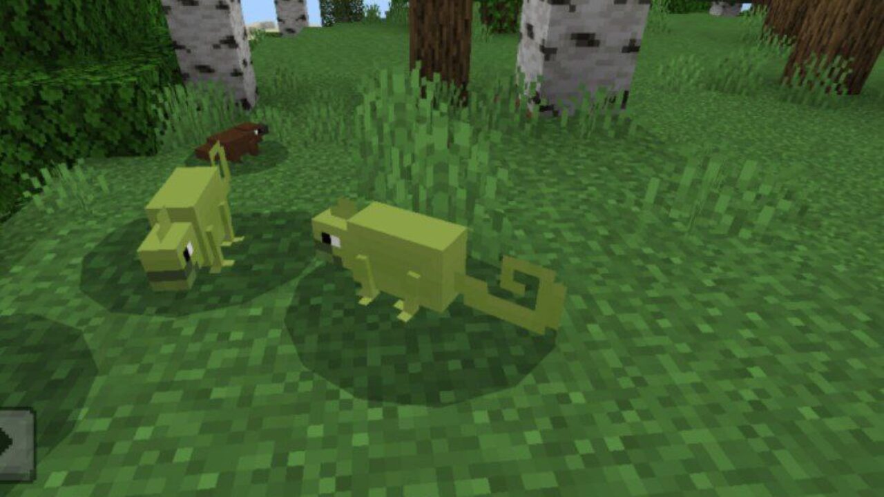 Chameleon from Tacos Critters Mod for Minecraft PE