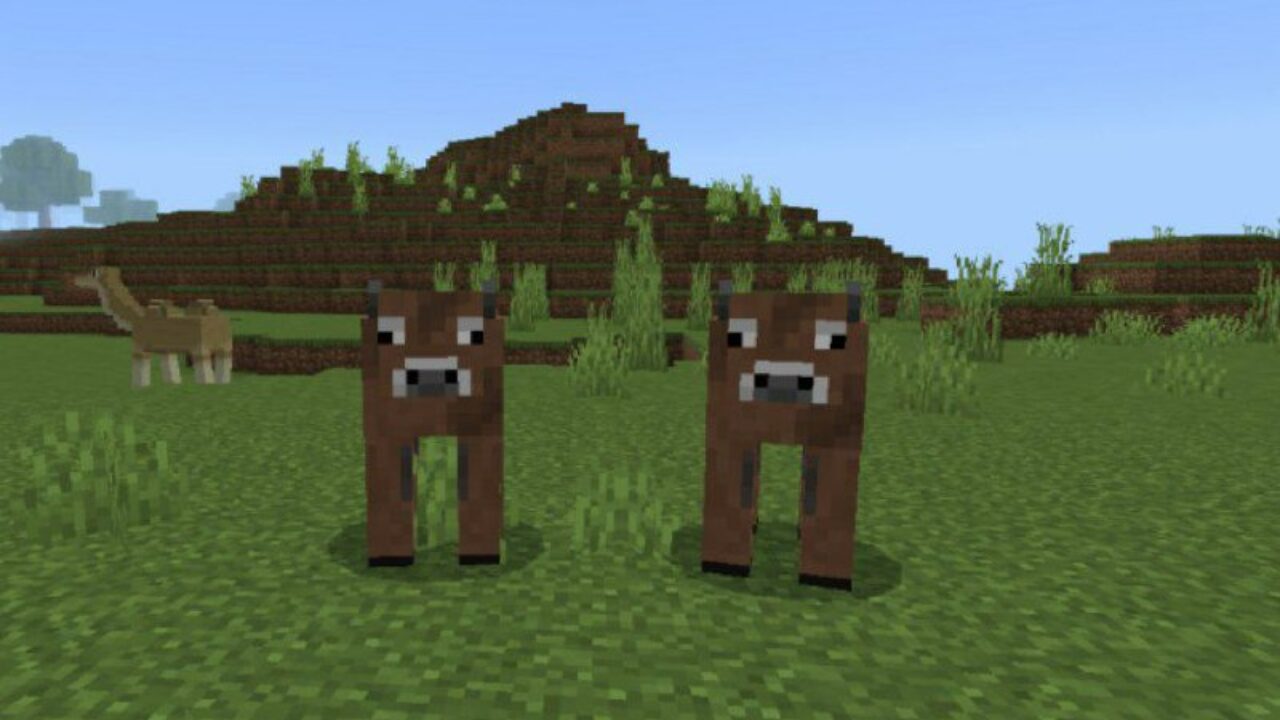 Cows from Adha Craft Mod for Minecraft PE