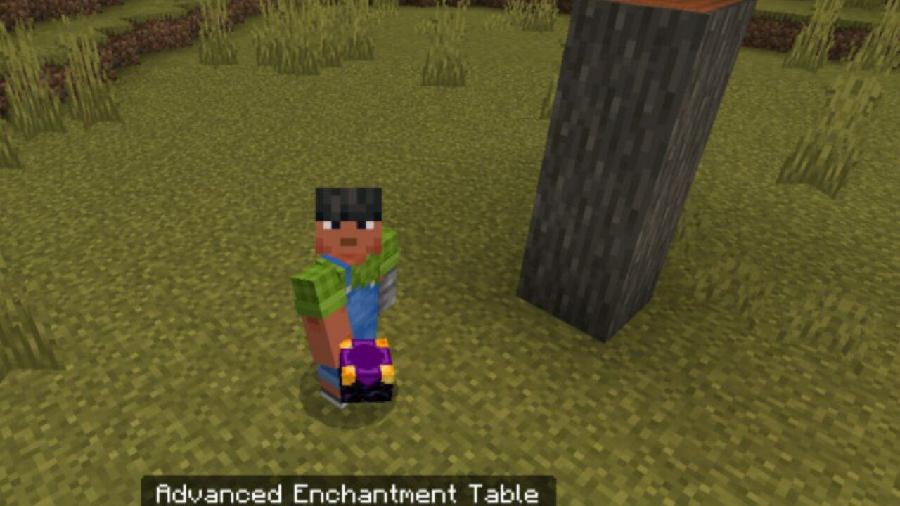 Item from System Enchantments Mod for Minecraft PE