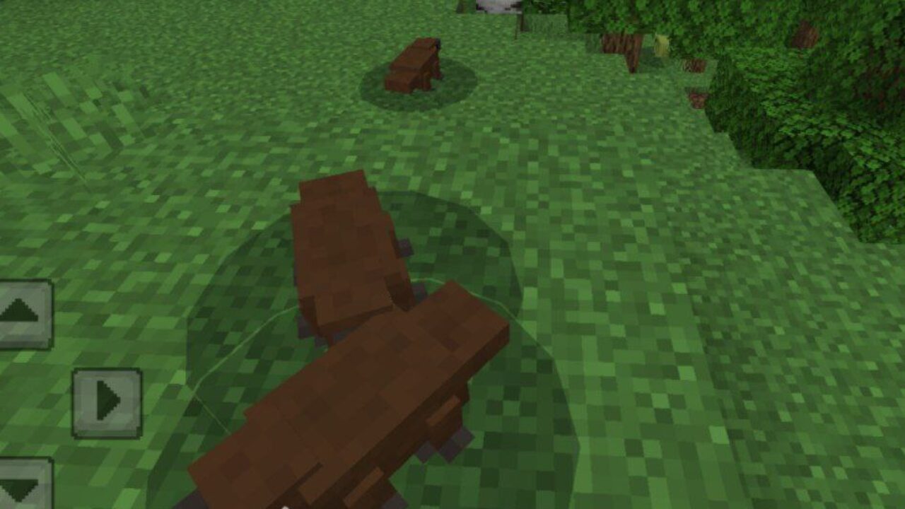 Platypus from Tacos Critters Mod for Minecraft PE