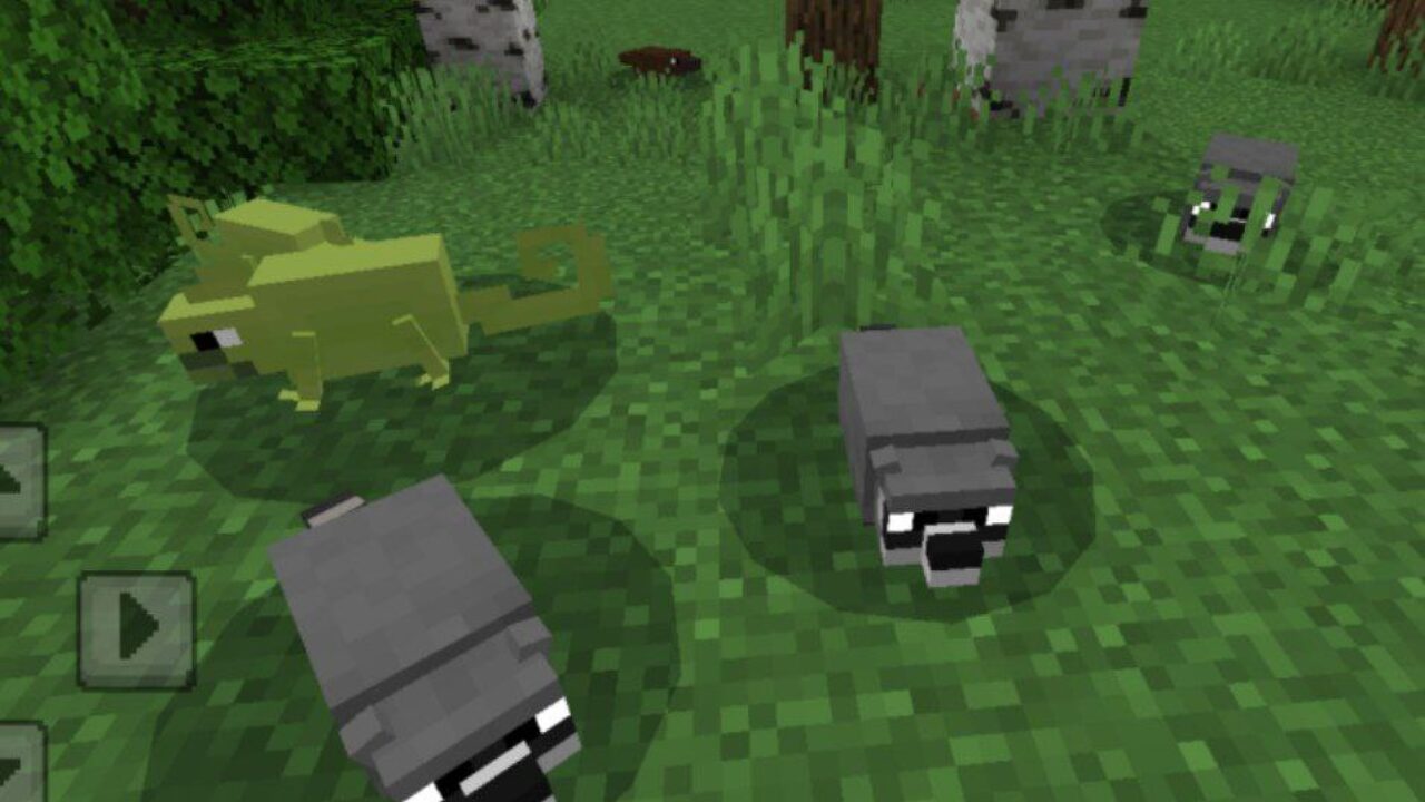 Racoon from Tacos Critters Mod for Minecraft PE