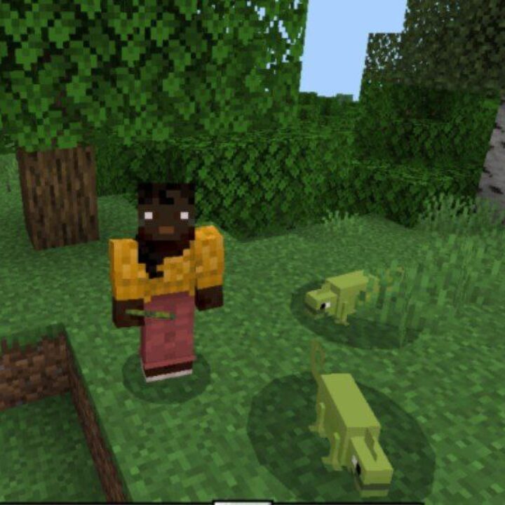 Tacos Critters Mod for Minecraft PE