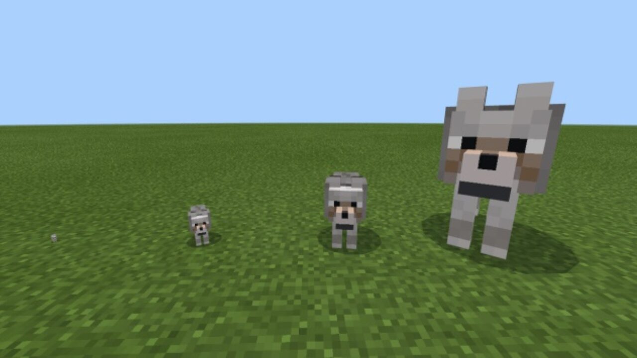 Wolf from Size Scaler Mod for Minecraft PE