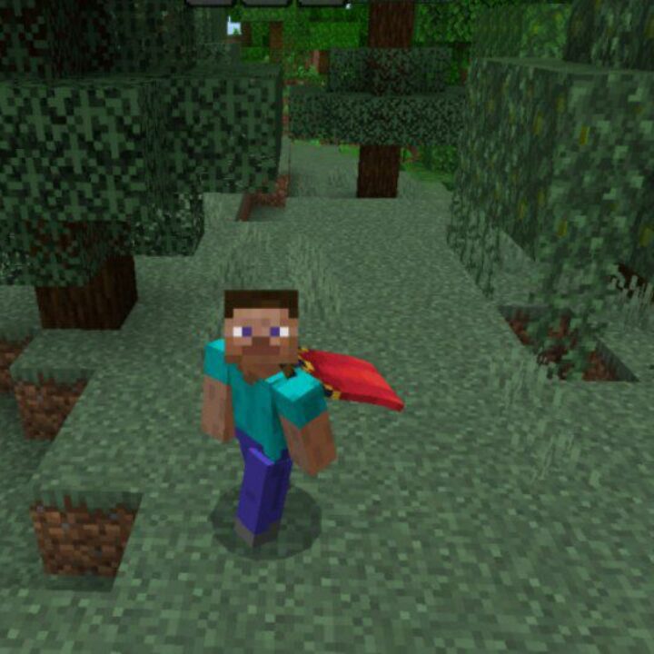 FAnimation Texture Pack for Minecraft PE