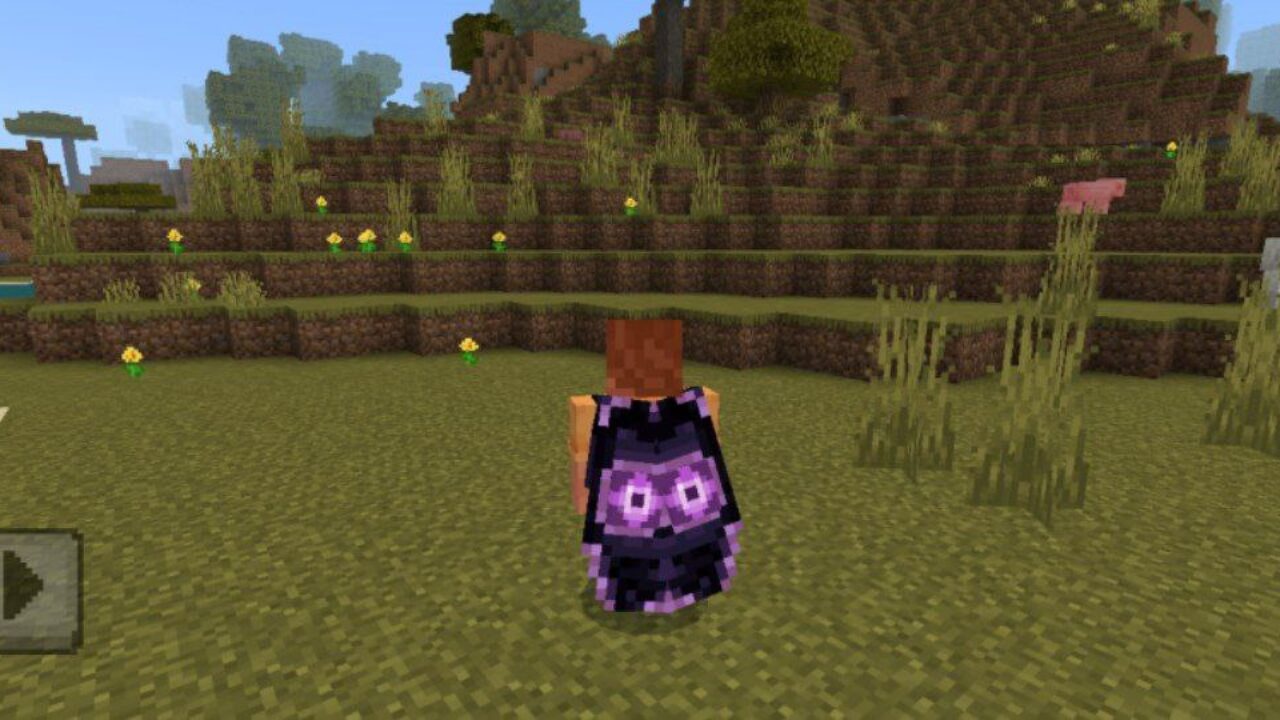 Eye from More Elytras Mod for Minecraft PE