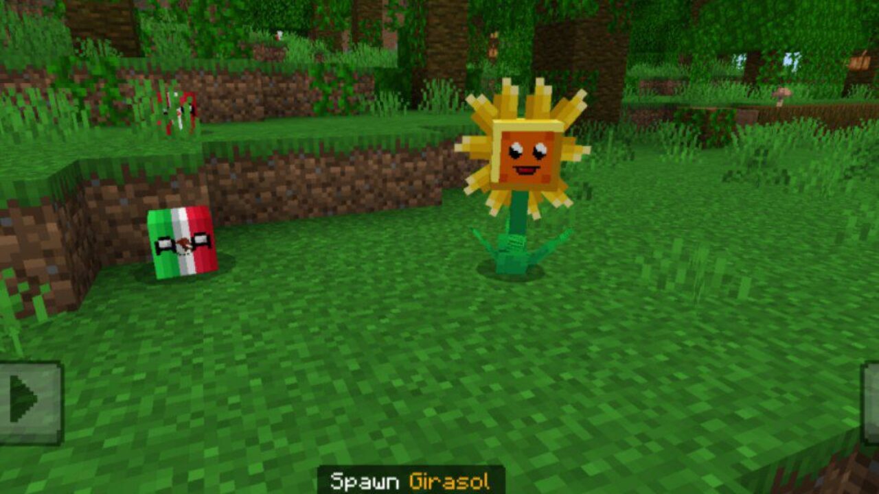 Grasol from Italia Mod for Minecraft PE