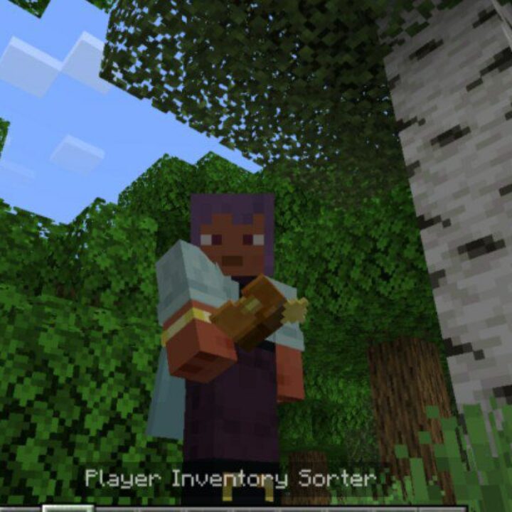 Inventory Sorter Mod for Minecraft PE