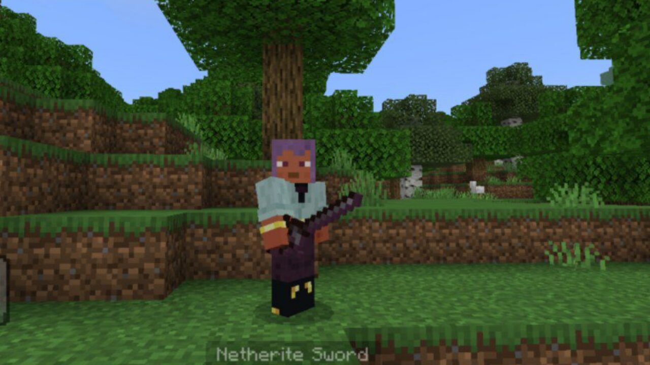 Netherite from Rapiers Texture Pack for Minecraft PE