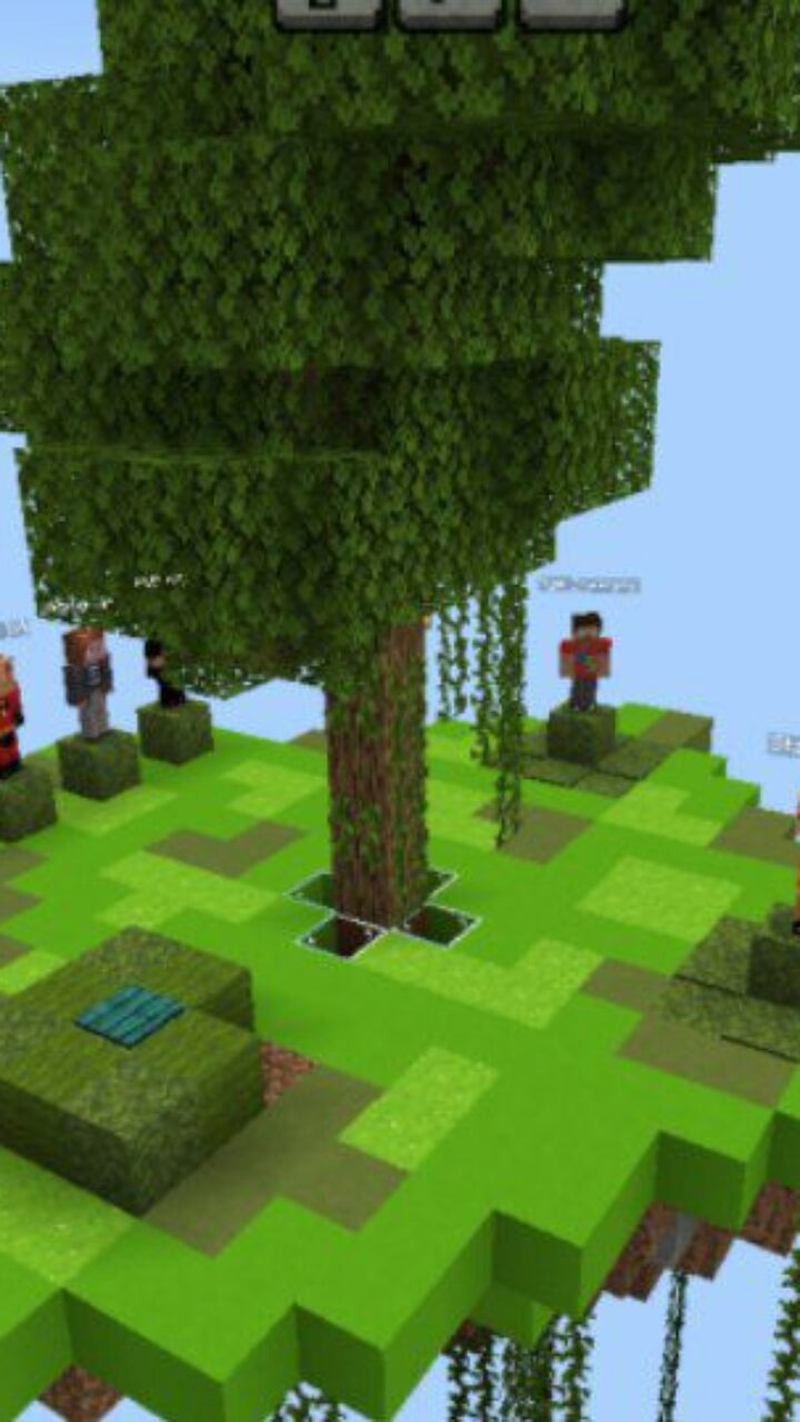 Top View from 1DCRAFT Map for Minecraft PE