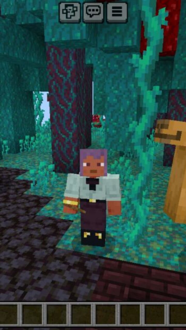 Animals from One Block Nether Island Map for Minecraft PE