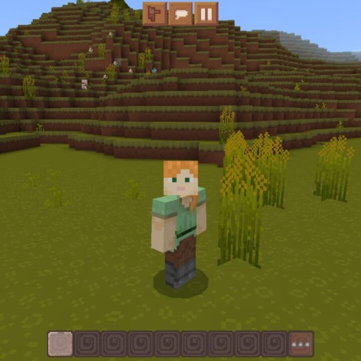 DandelionX Texture Pack for Minecraft PE