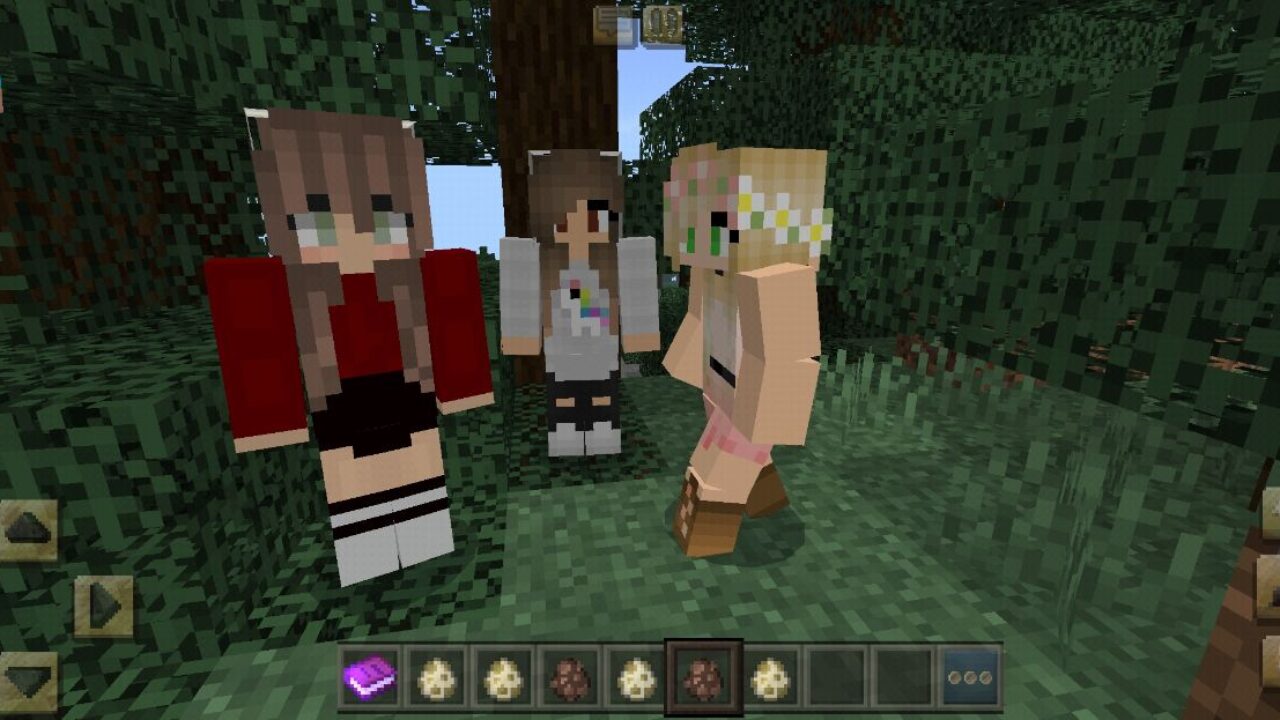 Girls from Babysitter Mod for Minecraft PE