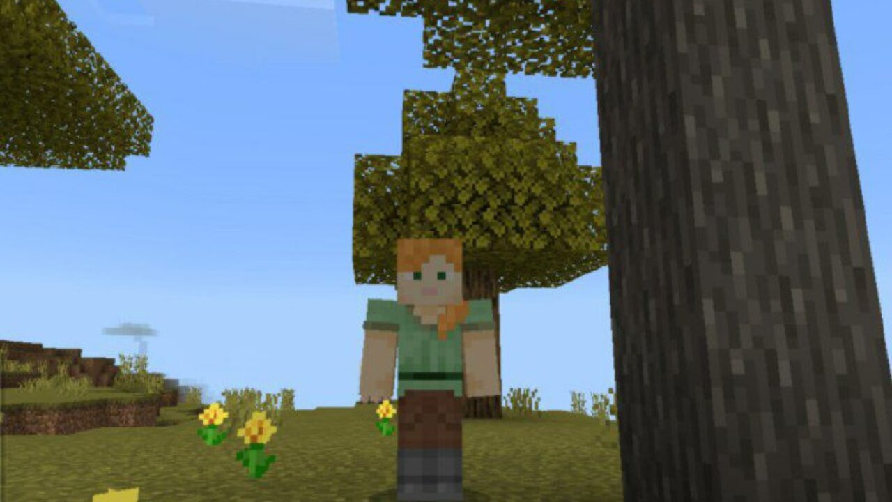 Player from Screenshot Taker Texture Pack for Minecraft PE