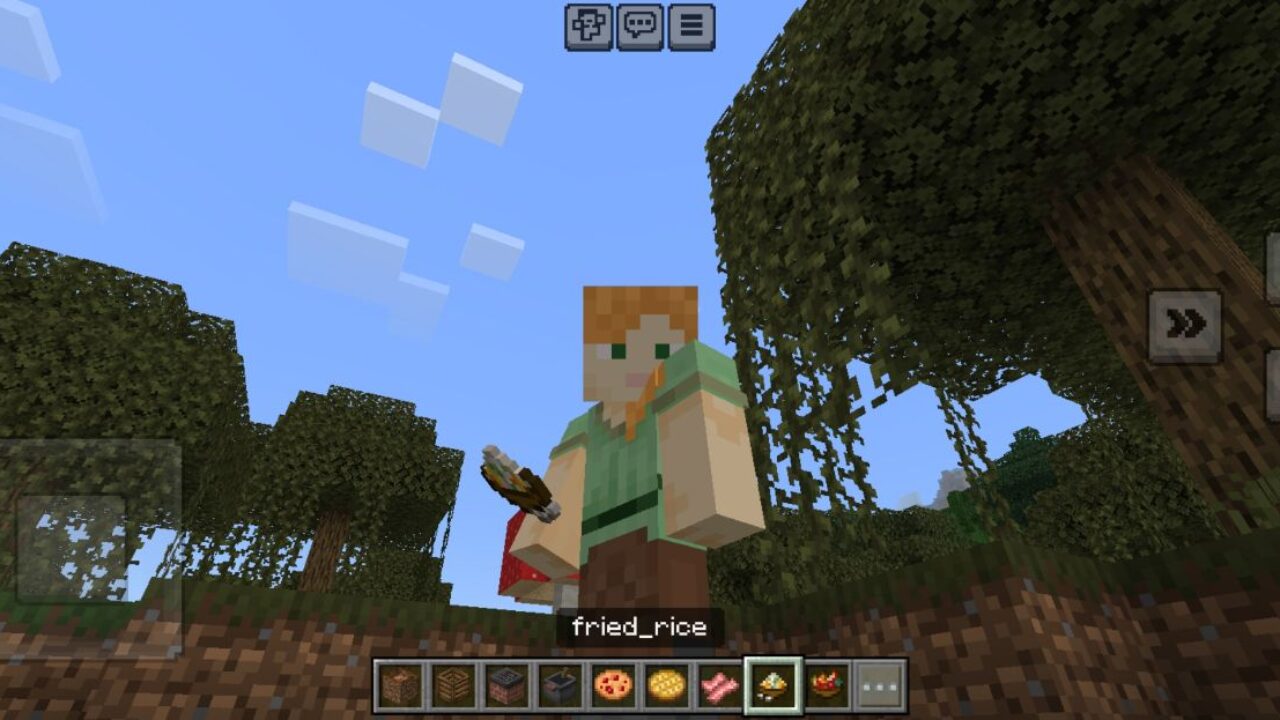 Rice from Farmers Delight Mod for Minecraft PE