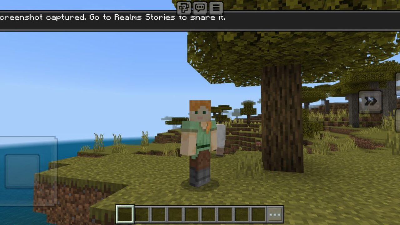 Screenshot Taker Texture Pack for Minecraft PE