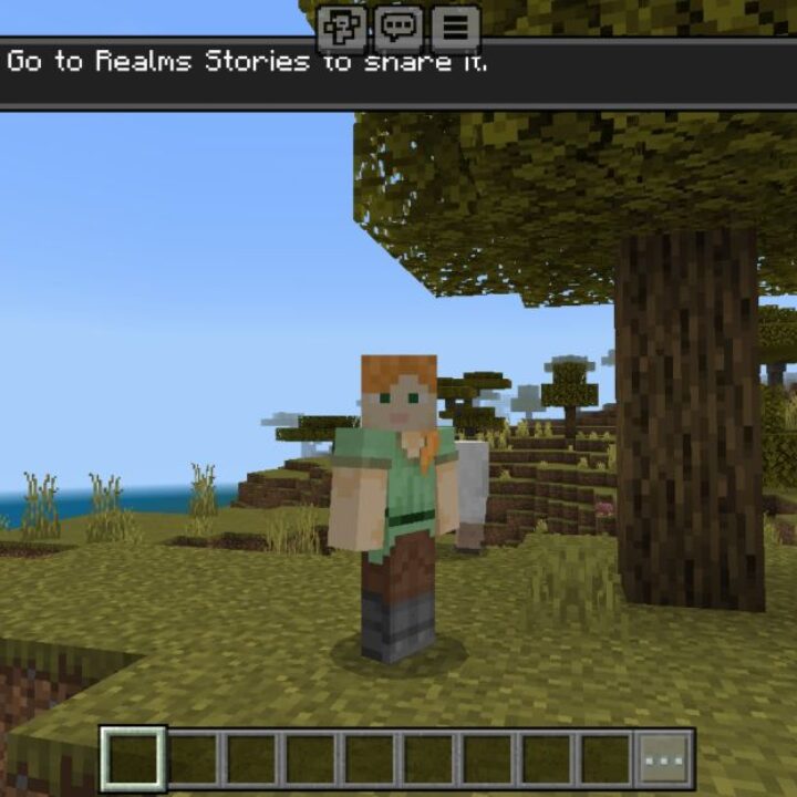 Screenshot Taker Texture Pack for Minecraft PE