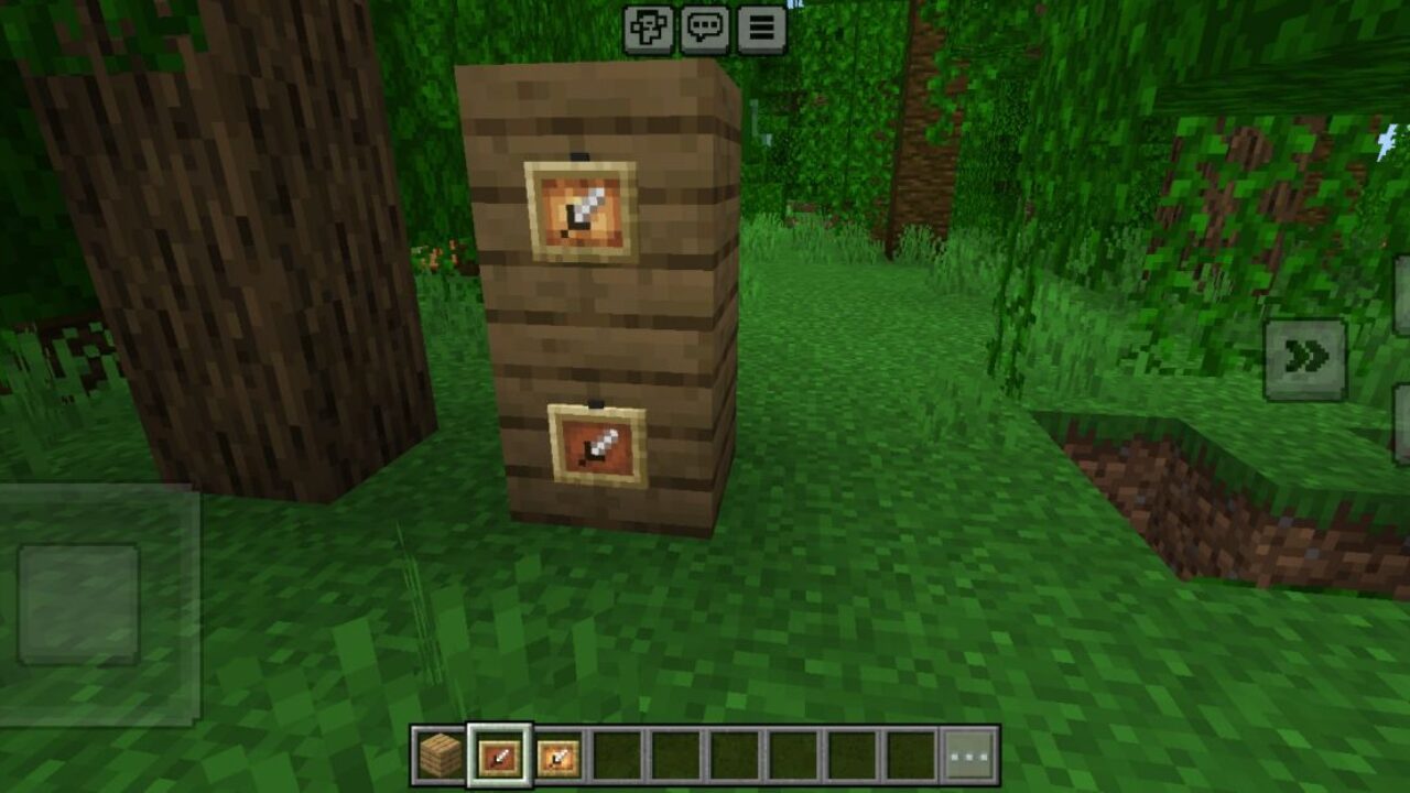 Use It from Easy Invisible Frames Texture Pack for Minecraft PE