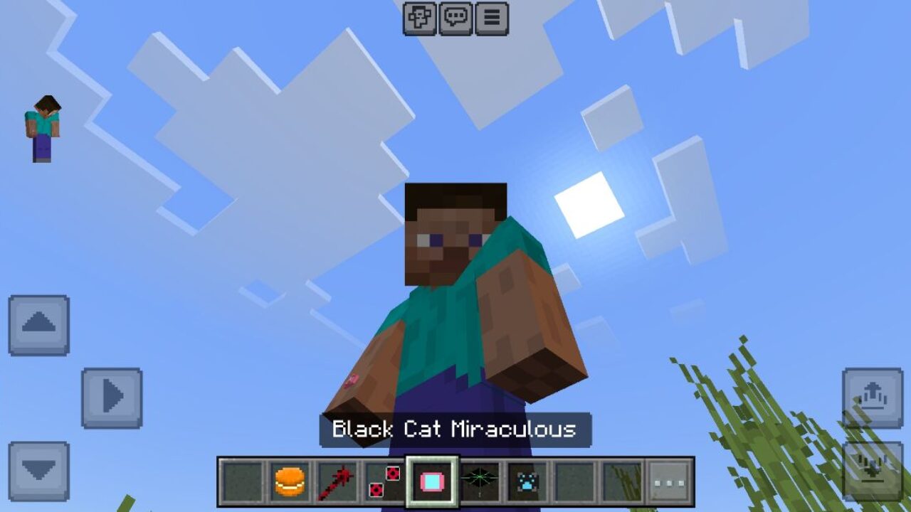 Black Cat from Miraculous Craft Mod for Minecraft PE