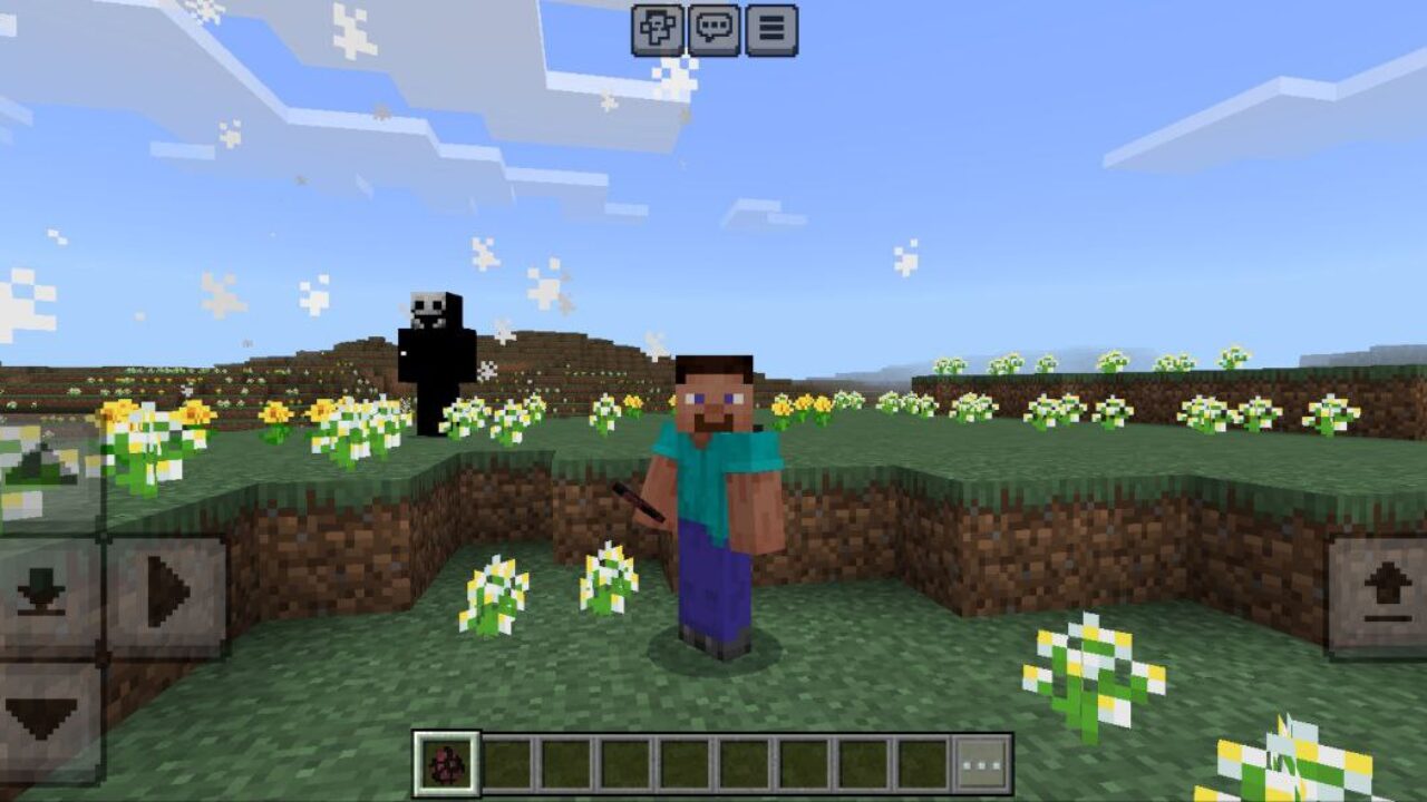 Careful from Fake Player Mod for Minecraft PE