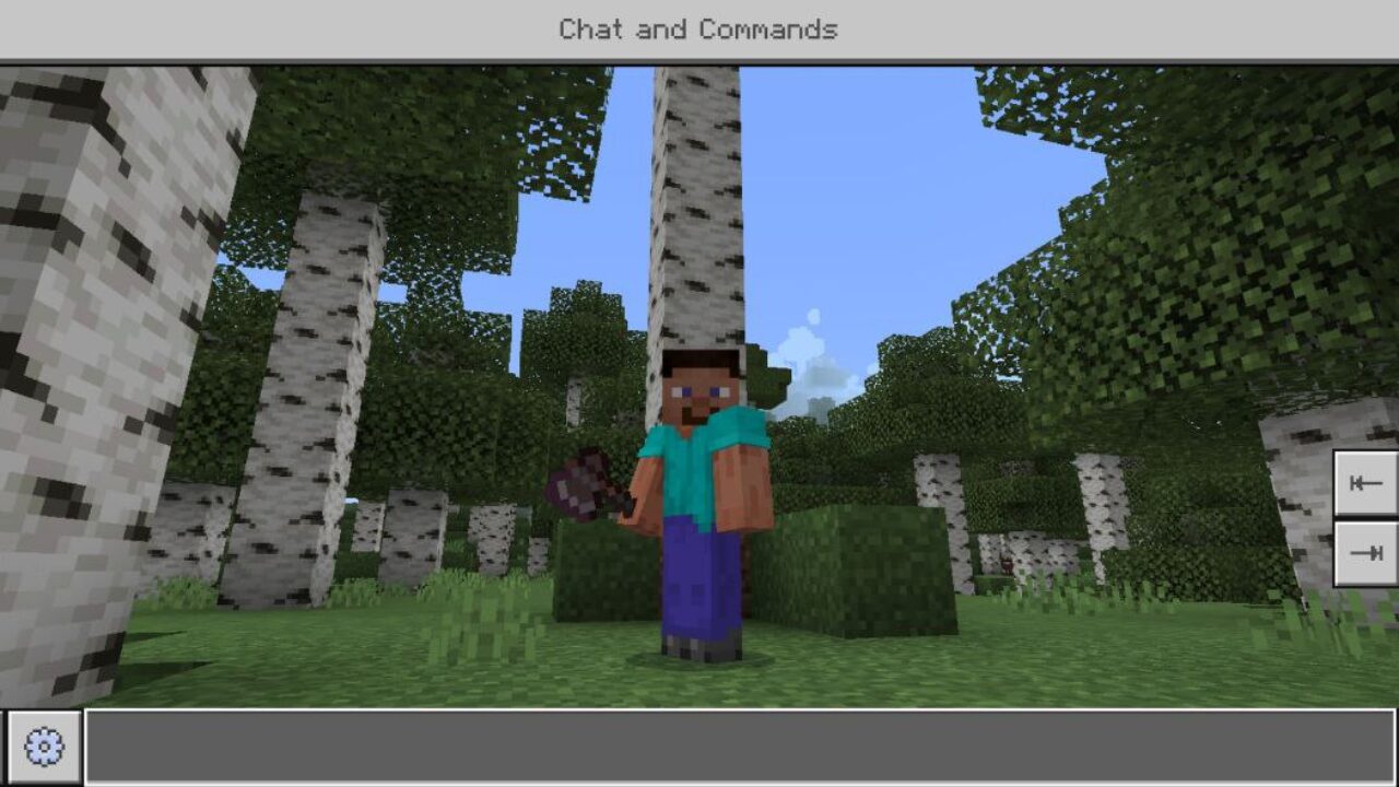 Chat from Improved Plus Texture Pack for Minecraft PE