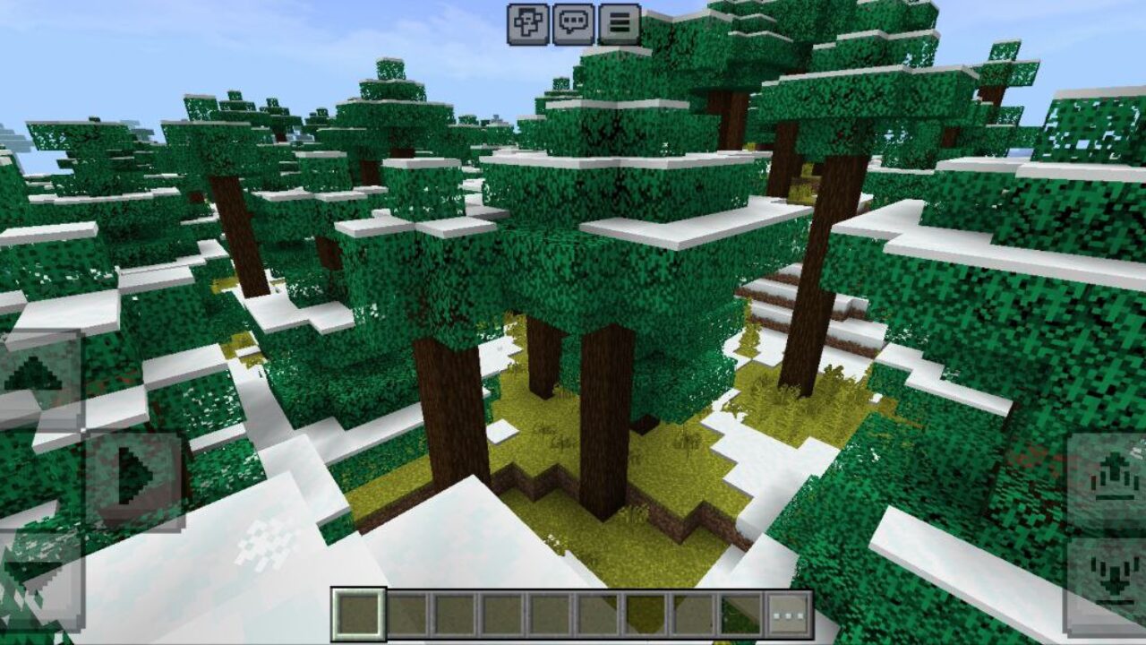 Forest from Reborn MC Shader for Minecraft PE