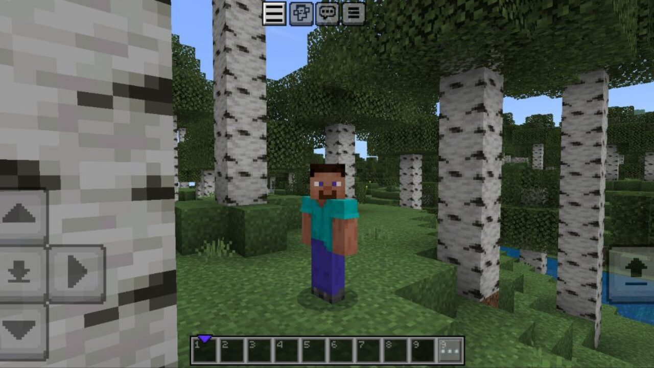 Improved Plus Texture Pack for Minecraft PE