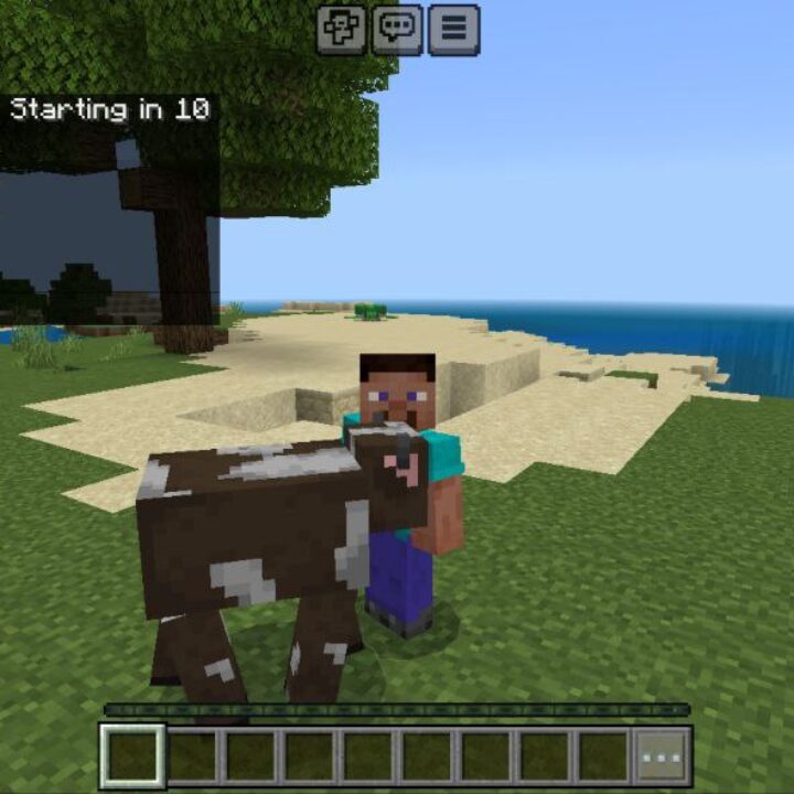 Last Life Mod for Minecraft PE